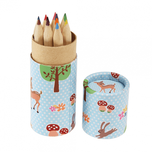 Woodland Creatures Colouring Pencils In A Tube (Set Of 12)
