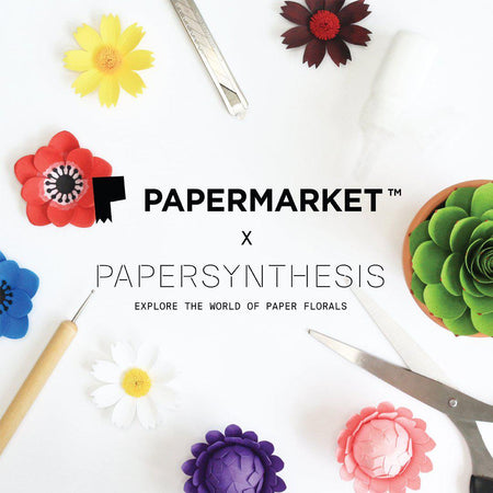 Creative Collaboration: Papersynthesis