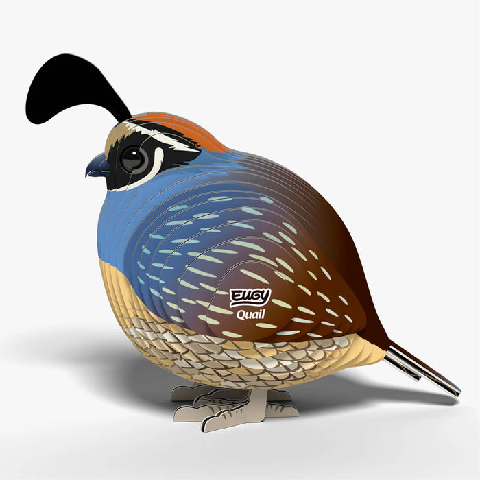 Eugy Bird - Quail