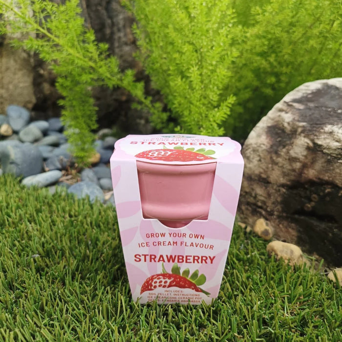 PG - Ice Cream Cone - Strawberry