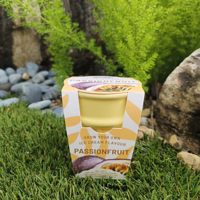 PG - Ice Cream Cone - Passionfruit