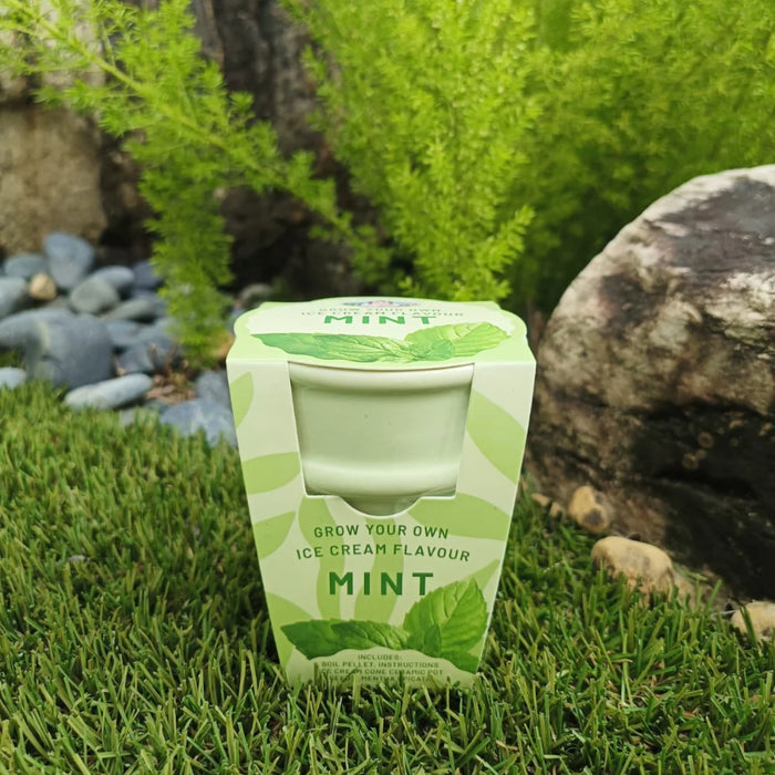 PG - Ice Cream Cone - Mint