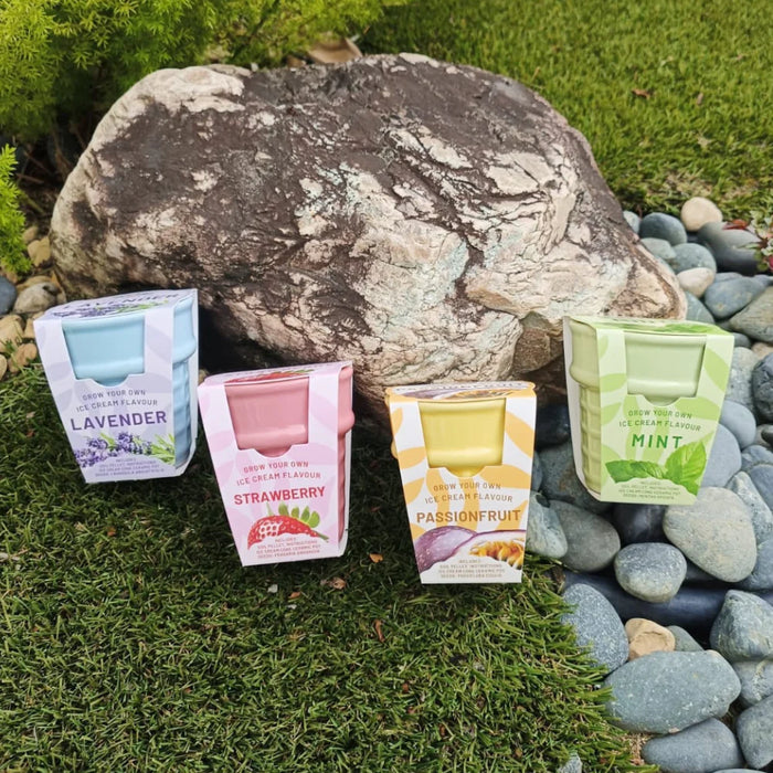 PG - Ice Cream Cone - Mint