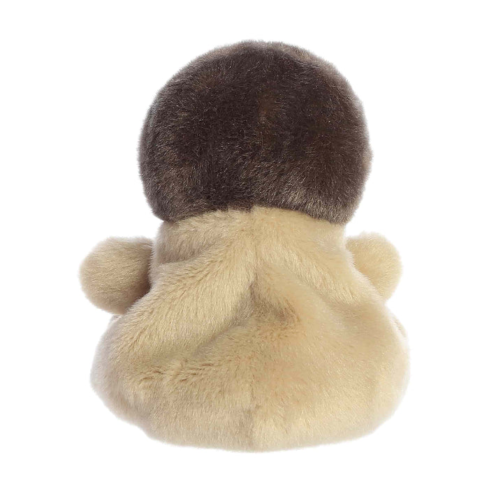 Palm Pals Small Plush - Rudi Robin