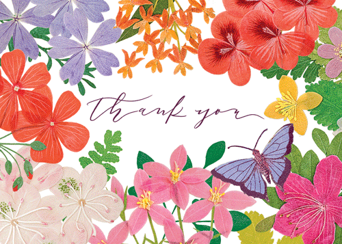 Notecard (Pack of 8) - Thank You Halstead Flora
