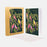 Ar Sara Miller Notecard Pack Parrots