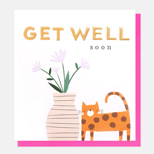 Greeting Card - Colour Pop Get Well Cat Vase
