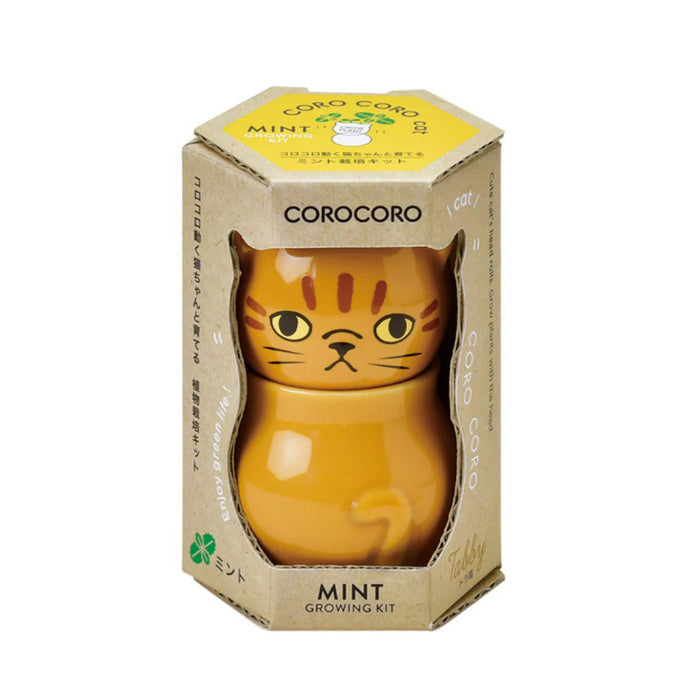 Corocoro Cat Growing Kit - Mint