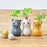 Corocoro Cat Growing Kit - Mint