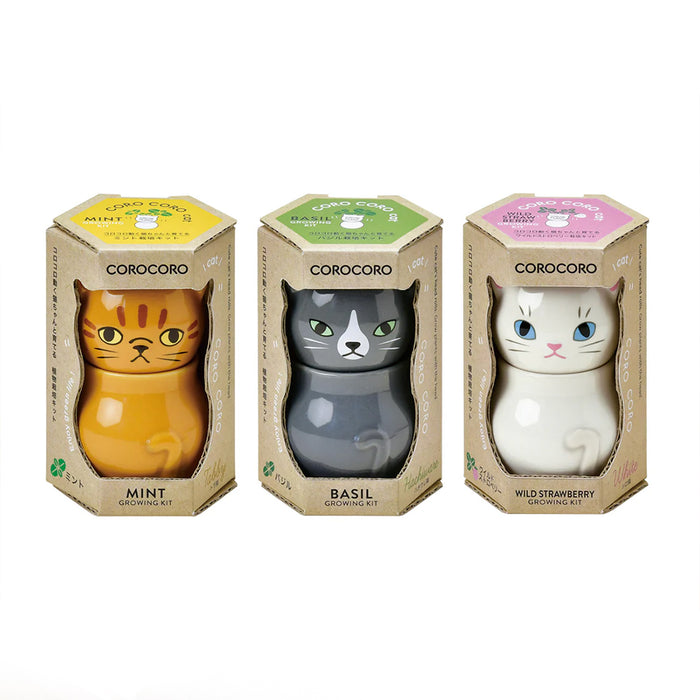 Corocoro Cat Growing Kit - Wild Strawberry