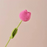 Crochet Flower - Dark Pink Tulip