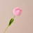 Crochet Flower - Light Pink Tulip