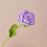 Crochet Flower - Purple Rose
