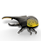 Eugy Insect- Hercules Beetle