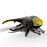 Eugy Insect- Hercules Beetle