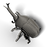 Eugy Insect- Rhino Beetle