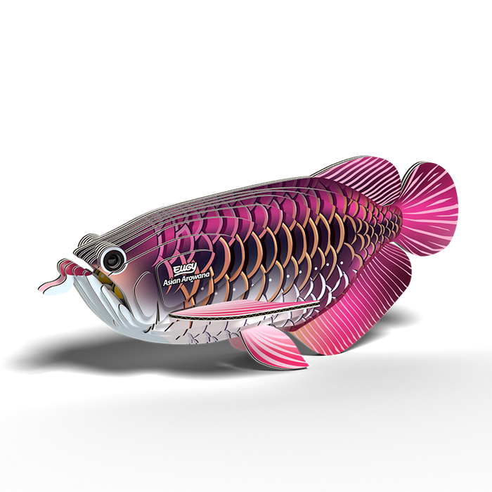 Eugy Sea - Arowana