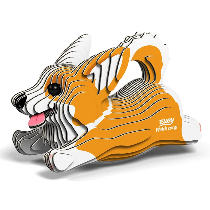 Eugy Wild- Welsh Corgi