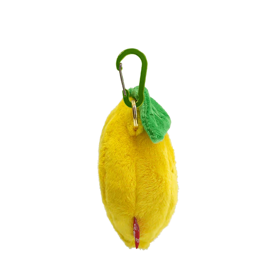 Fresh Lemon Mini Case for Earphone