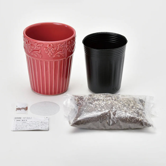 Grace Garden Pot - Wild Strawberry