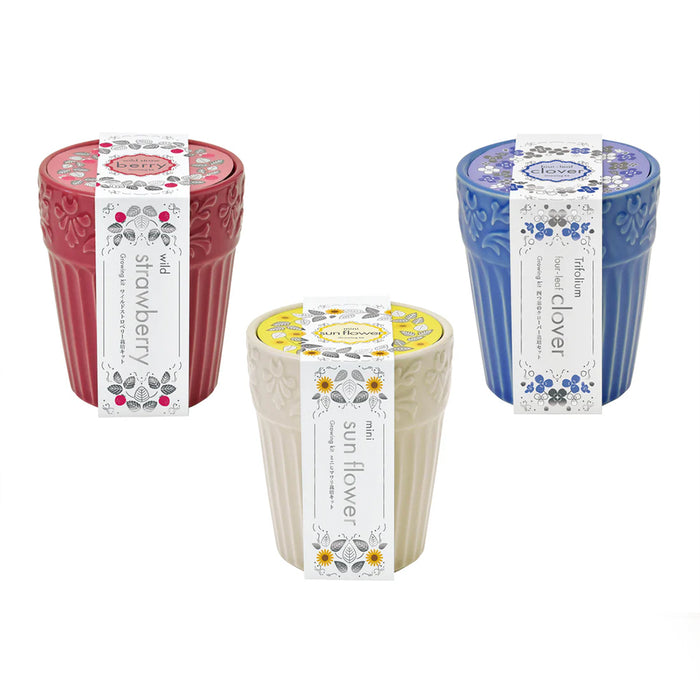 Grace Garden Pot - Wild Strawberry