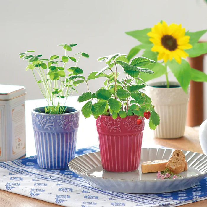 Grace Garden Pot - Wild Strawberry