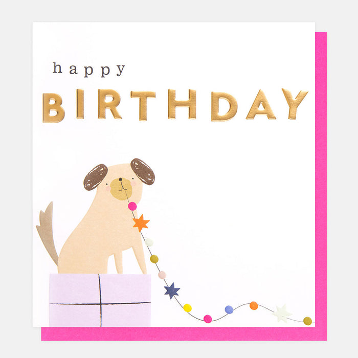 Greeting Card - Colour Pop Bday Dog Garland