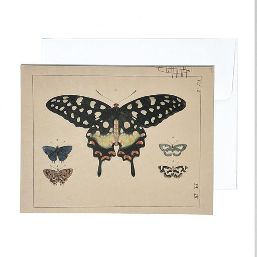 Greeting Card - HER Butterflies