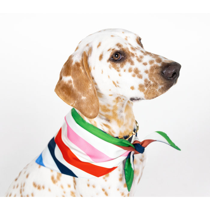 Kate Spade Pet Bandana - Adventure Stripe (M/L)