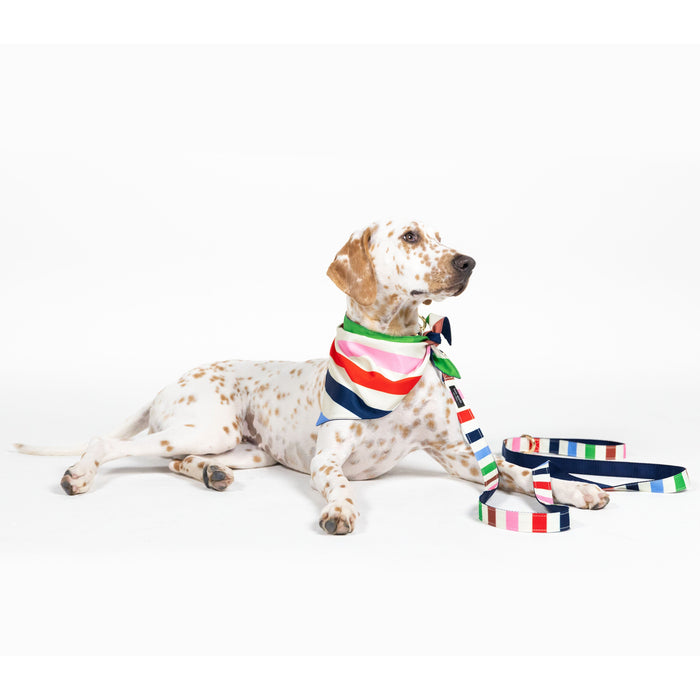 Kate Spade Pet Bandana - Adventure Stripe (M/L)