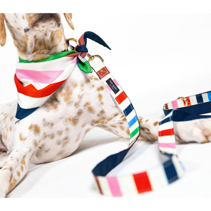 Kate Spade Pet Bandana - Adventure Stripe (S/M)