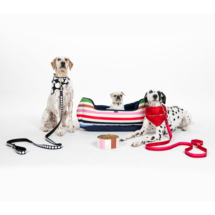 Kate Spade Pet Bed - Adventure Stripe