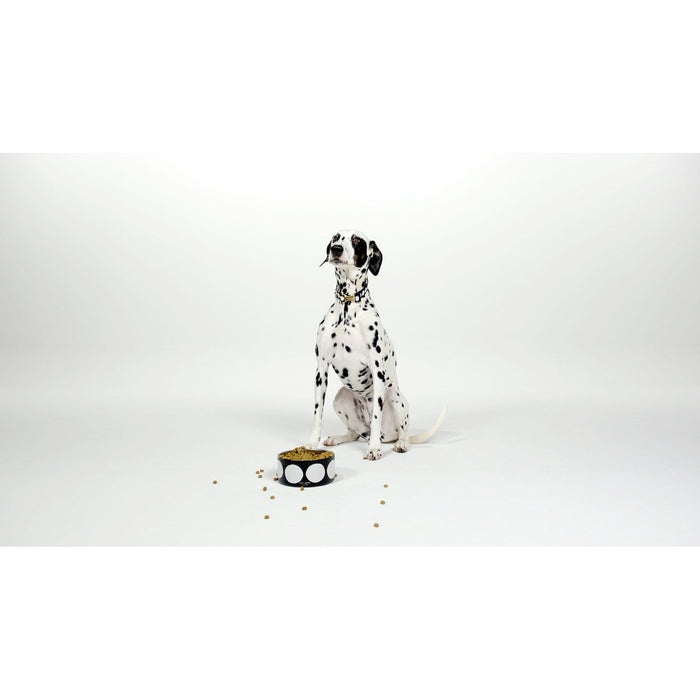 Kate Spade Pet Bowl - Art Dots (M/L)