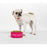 Kate Spade Pet Bowl - More Please (S/M)