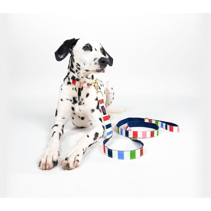 Kate Spade Pet Collar - Adventure Stripe (M/L)