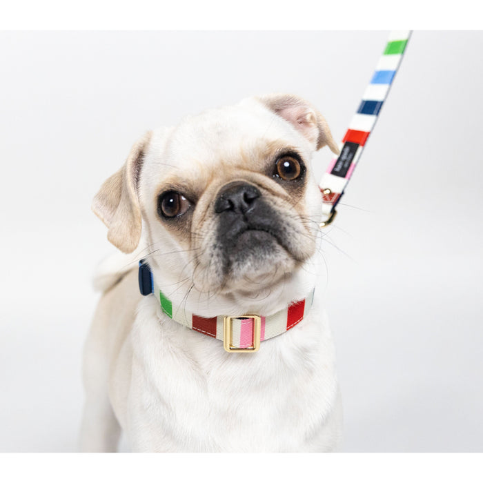 Kate Spade Pet Collar - Adventure Stripe (S/M)