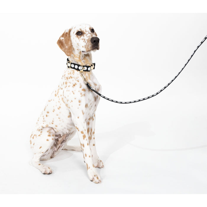 Kate Spade Pet Collar - Art Dots (M/L)