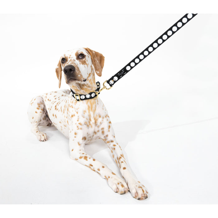 Kate Spade Pet Collar - Art Dots (M/L)