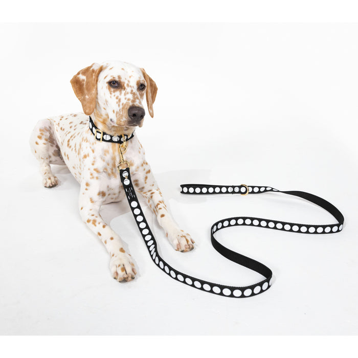 Kate Spade Pet Collar - Art Dots (M/L)