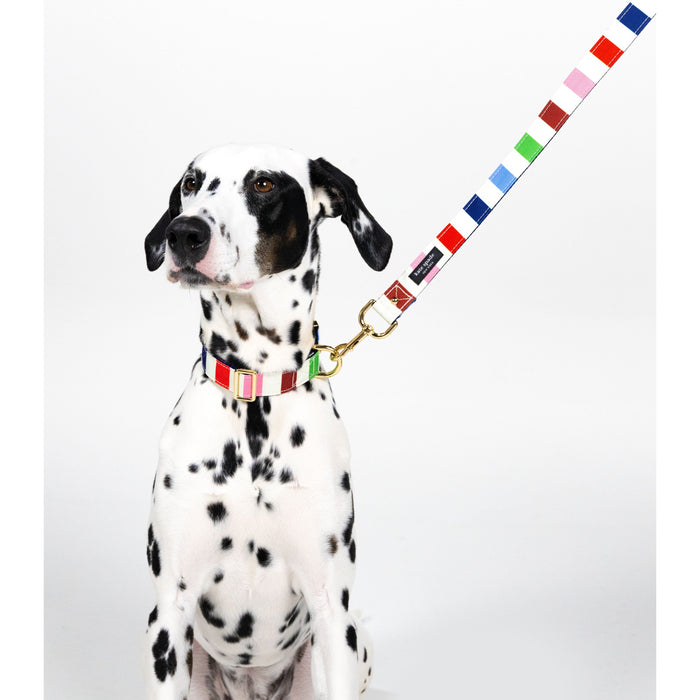 Kate Spade Pet Leash - Adventure Stripe (M/L)