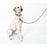 Kate Spade Pet Leash - Art Dots (M/L)