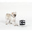 Kate Spade Pet Toy - Art Dots Dice