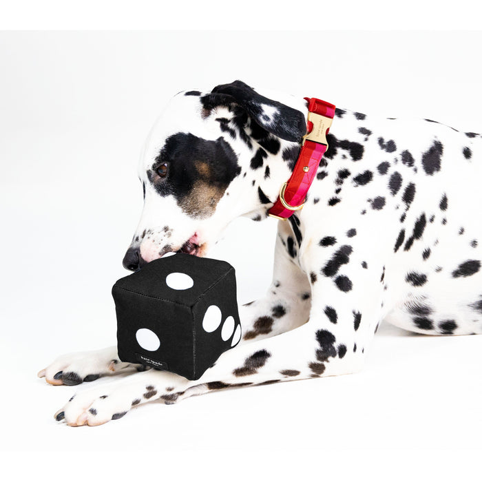 Kate Spade Pet Toy - Art Dots Dice