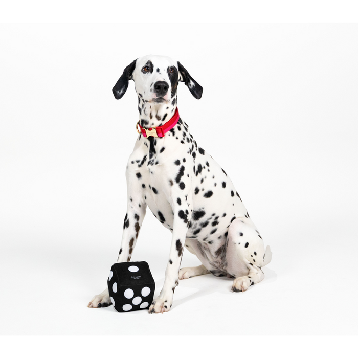 Kate Spade Pet Toy - Art Dots Dice