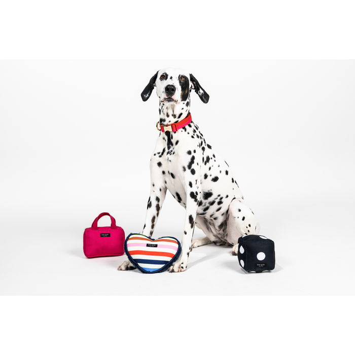 Kate Spade Pet Toy - Art Dots Dice