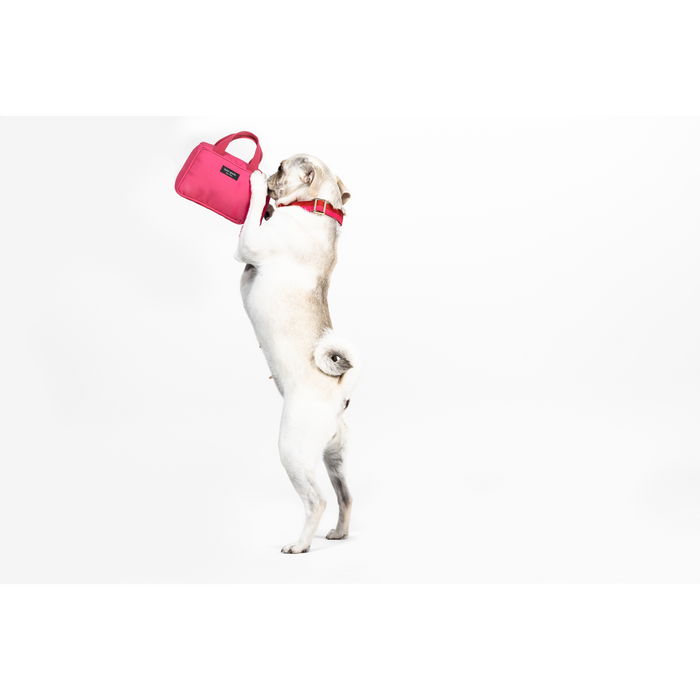 Kate Spade Pet Toy - Handbag (Pink)