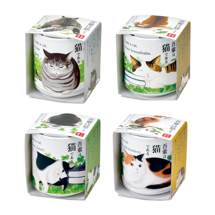 Omedeta Ochoko - I Am A Cat (Lemon Balm)