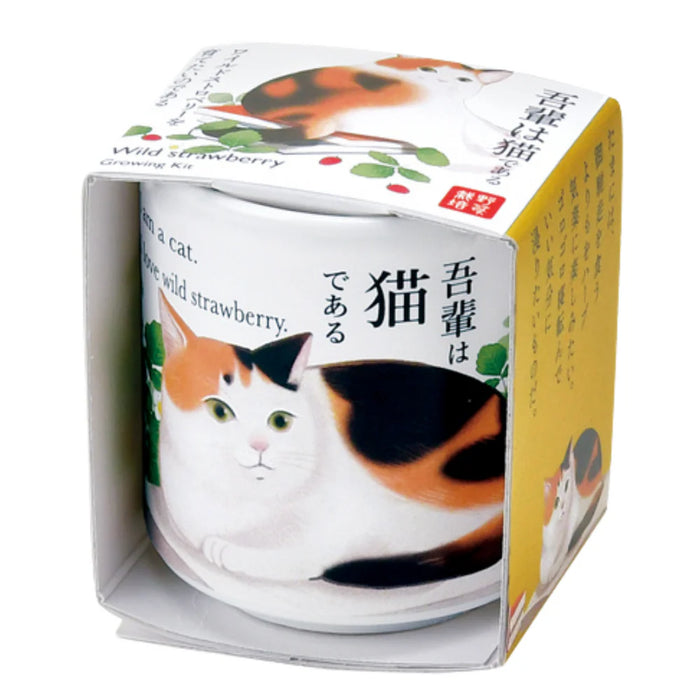 Omedeta Ochoko - I Am A Cat (Wild Strawberry)