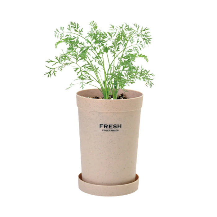 Root Vegetable Growing Kit - Carrot