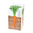 Root Vegetable Growing Kit - Carrot